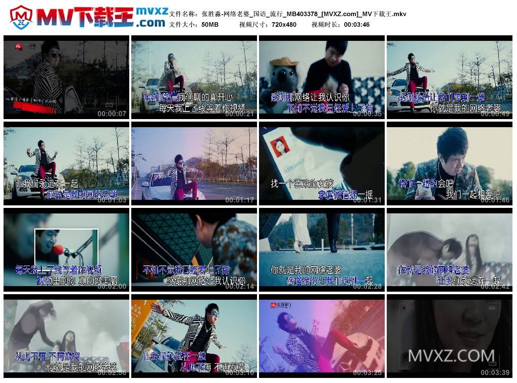 张胜淼-网络老婆_国语_流行_MB403378